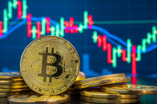 توصيات بيتكوين