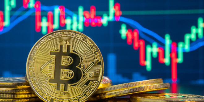 توصيات بيتكوين
